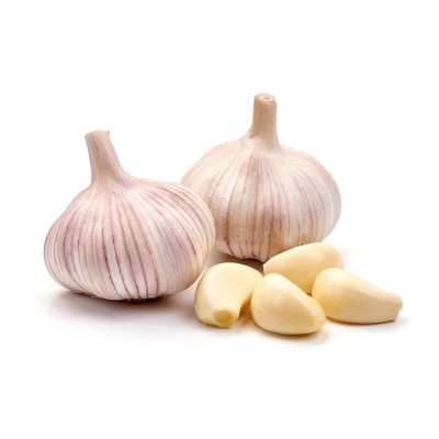 Чеснок крупный 1 кг - купить в Кажлодке