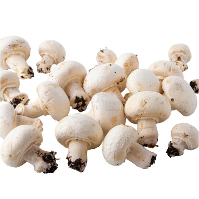 Шампиньоны свежие 500 г - купить в Кажлодке